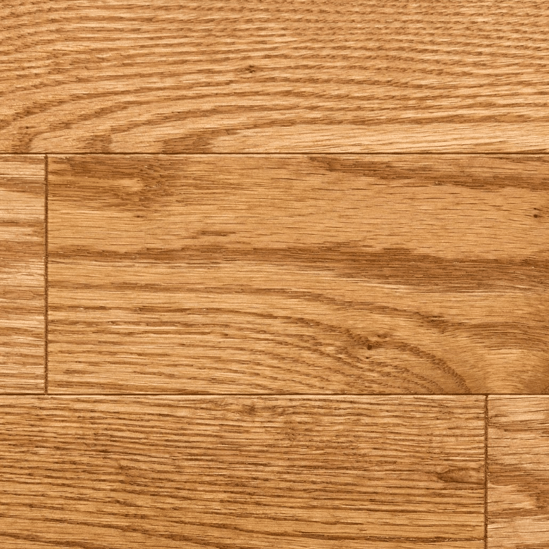 Red Oak – Moccasin